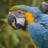 这是一家感情店一分钱素材