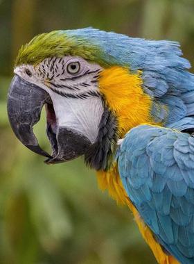 这是一家感情店一分钱素材