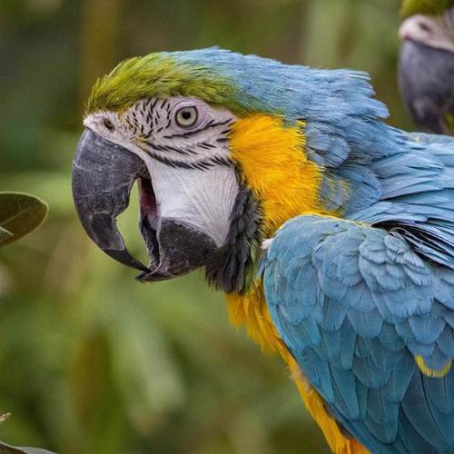 这是一家感情店一分钱素材