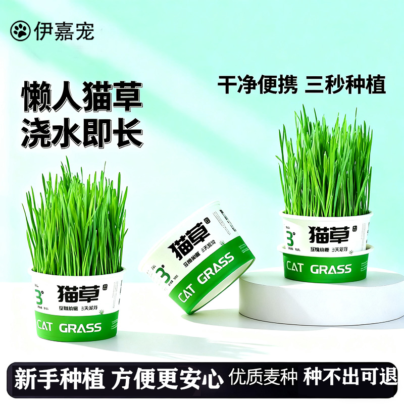 猫草盆栽懒人种植种子猫薄荷猫咪自种猫草零食轻松温和排毛化草毛