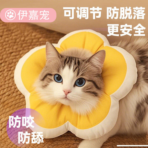 伊丽莎白圈猫绝育项圈防舔猫咪绝育项圈狗狗头套宠物驱虫伊脖圈