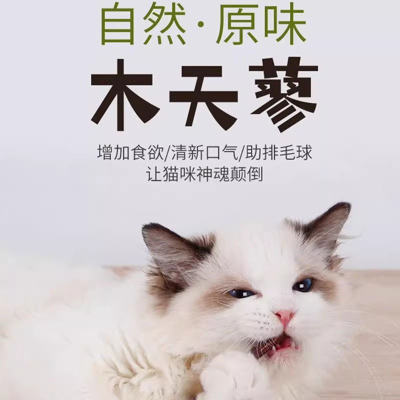 猫咪磨牙棒木天蓼成幼猫洁齿自嗨解闷猫草薄荷逗猫棒玩具猫咪零食