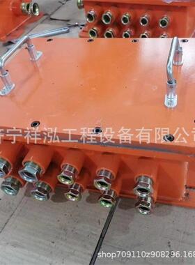 BHD20-10/127-24G矿用低压电缆连接盒矿用防爆箱 BHD20低压接线盒