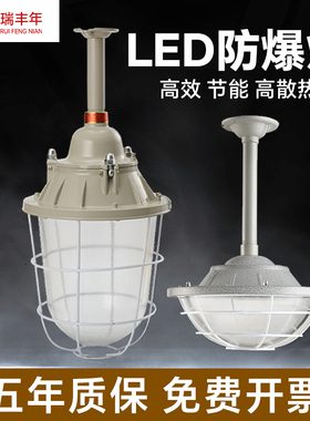 国标LED防爆灯工厂房车间照明灯灯罩仓库灯隔爆型灯专用加油站灯