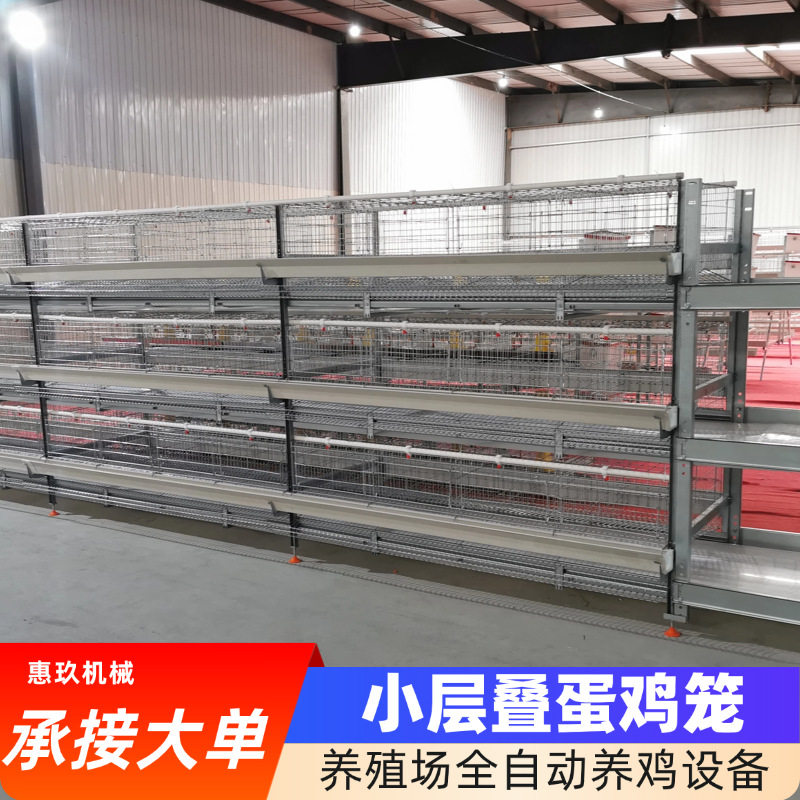 鸡笼小层叠蛋鸡笼鸡笼自动化捡蛋喂料清粪养子养鸡自动料线全自动