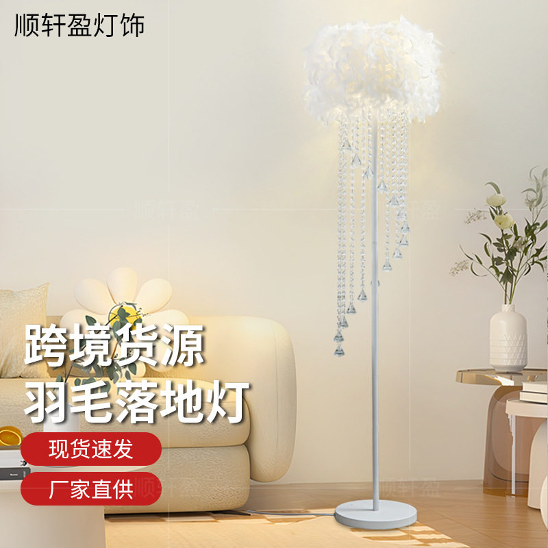 亚马逊网红羽毛落地灯氛围感客厅灯床头柜装饰立式水晶流苏落地灯