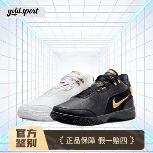 nike lebron篮球鞋运动鞋fj1567-103 lz仓