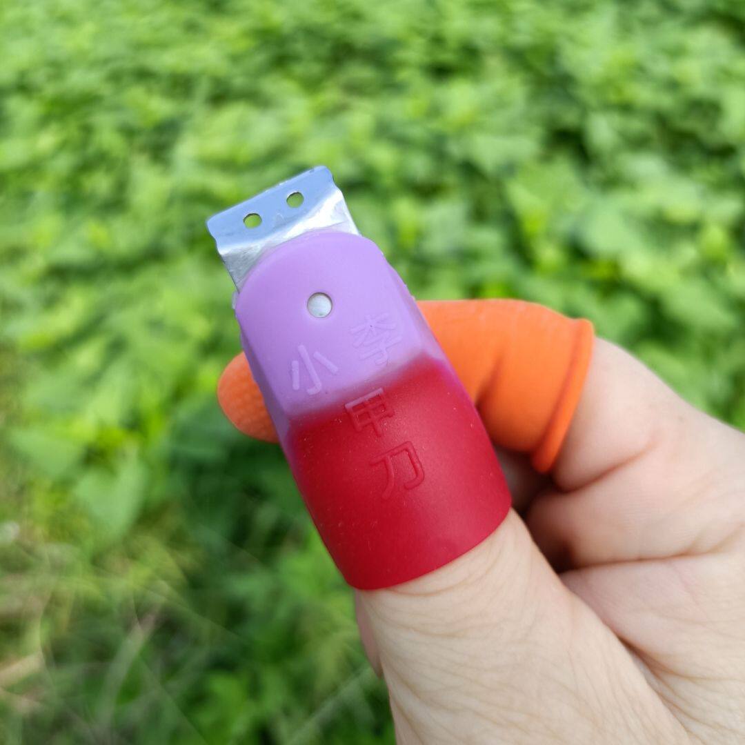 小李采摘花椒防割摘菜心茶叶拇指刀掐葡萄豆角农用割菜手指甲