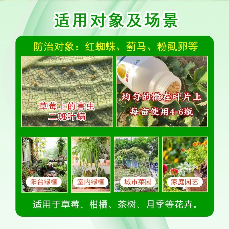 热销捕食螨加州新小绥螨草莓大棚生态种植用红蜘蛛蓟马叶螨天敌用