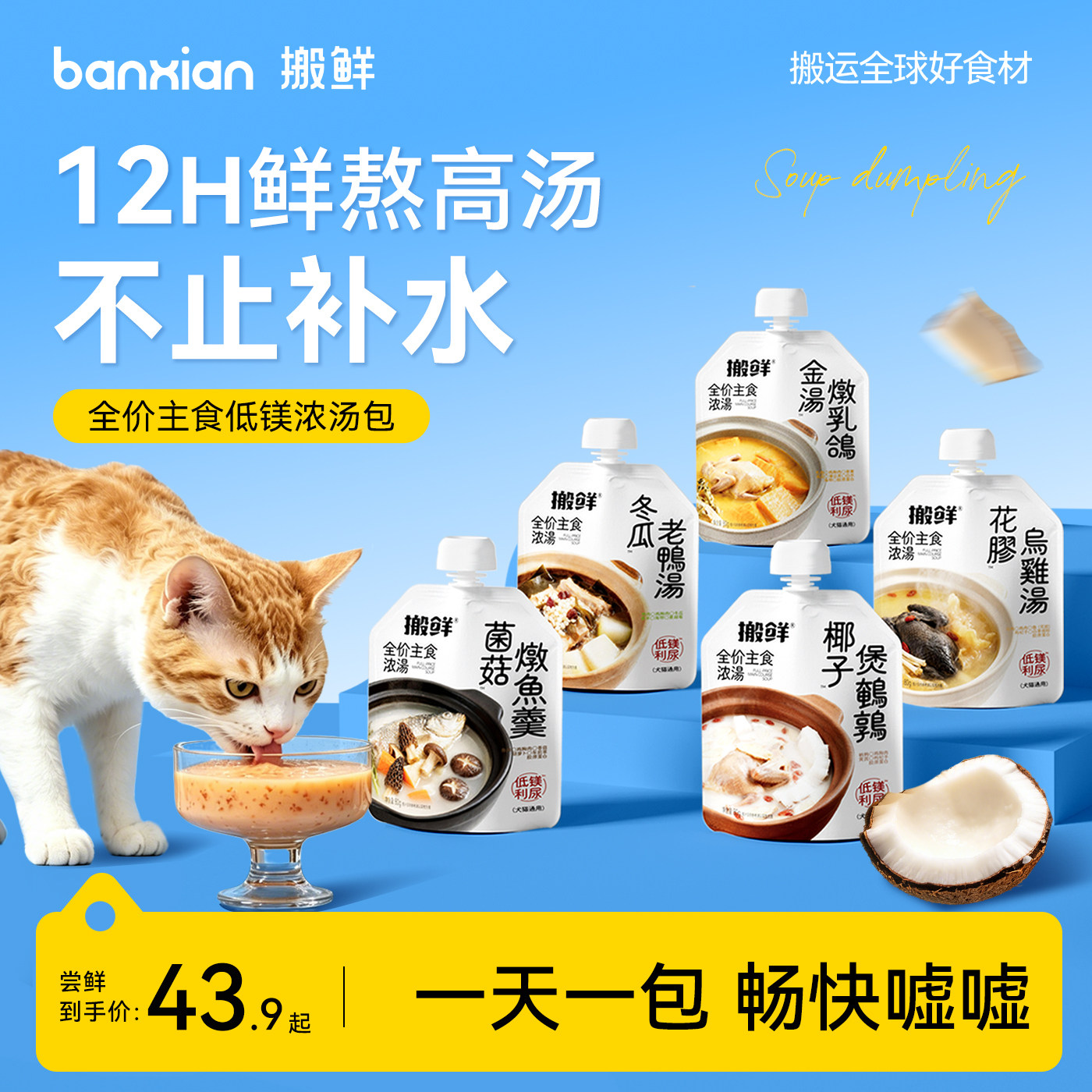 搬鲜猫咪补水汤包主食全价低镁嘘图片