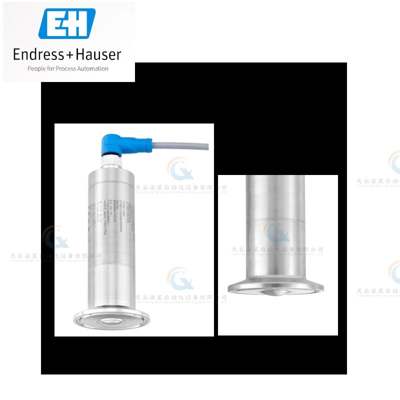 FTW33 FTW23 FMI21 FMI51 FMI52 FTI FTI52 FTI55U  限位开关 E+H