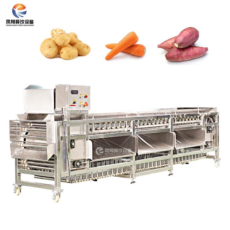 工厂直销全自动果蔬分选机商用滚杠式红薯分级机土豆水果选果