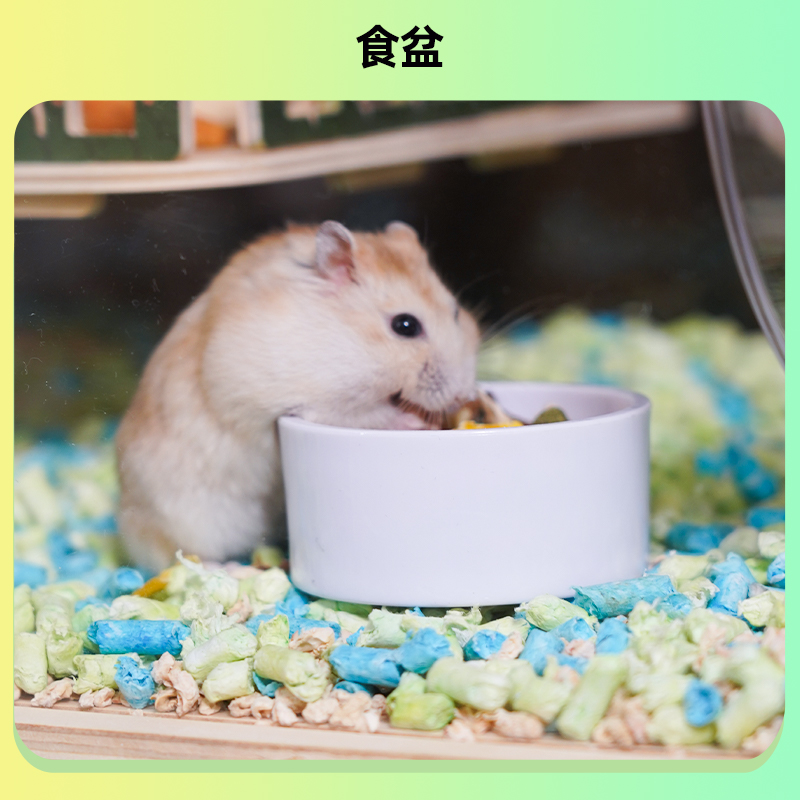 仓鼠笼子亚克力透明便宜大的超大豪华别墅饲养箱子金丝熊宠物用品