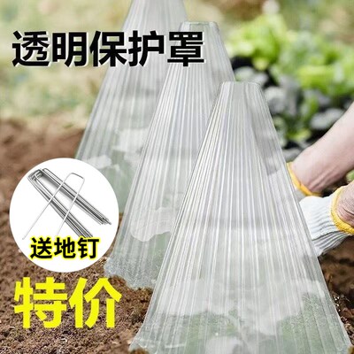 育苗保护罩透明钟罩可重复使用温室大棚免受鸟类霜冻X伤害加厚