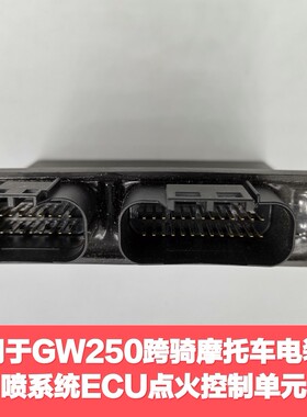适用於GWe250跨骑机车电综电喷系统ECU点火控制单元