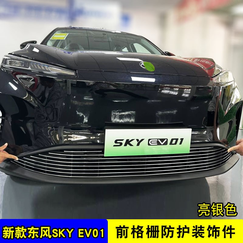 东风风神SKY EV01前脸w中网改装水箱格栅防虫网用品配件装饰亮条