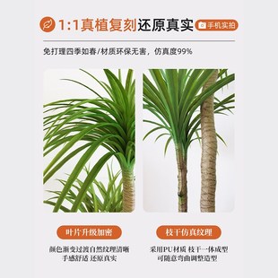 龙血树彷真绿植假植物轻奢客厅装 饰树室内大型Q盆栽落地摆件彷真