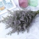 云南干花花束情人草水晶草组合客厅真花插花家U居摆设云南直发