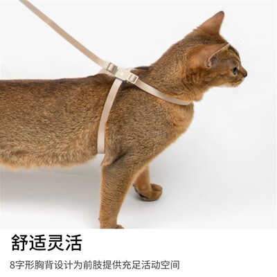 BuddyArmor猫咪防挣脱牵引绳胸背带I分体款防走丢失外出中小型遛