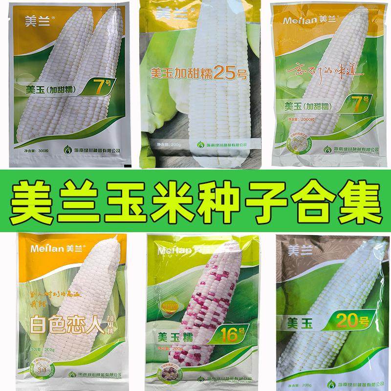 美兰美玉糯玉米种子合集糯玉米种白色恋人美玉加甜糯种皮薄玉米籽