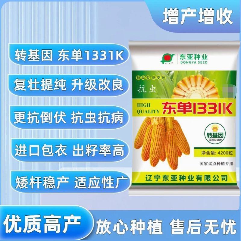 东单1331K国审玉米种子转基因