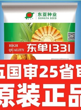 东单1331高产玉米种子大全