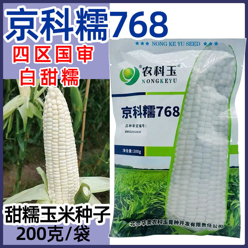 京科糯768玉米种子白甜糯国审大棒抗病高产农科玉原装玉米种籽