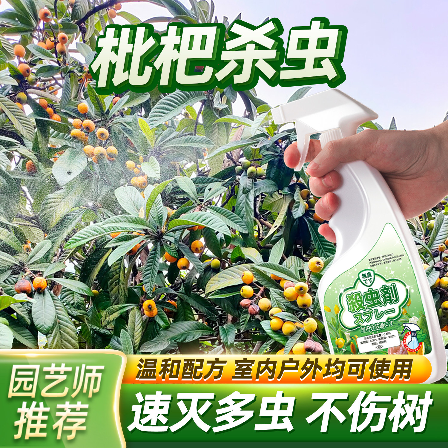 枇杷树杀虫剂蛀虫专用打虫药除虫用药虫药虫害长虫木虱非杀菌农药