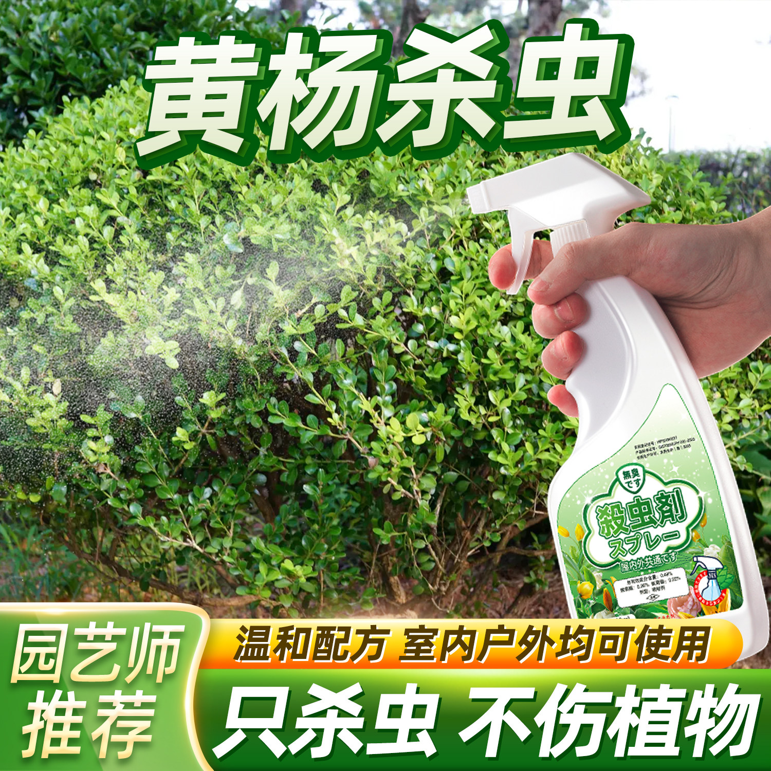 黄杨杀虫剂驱虫专用药树除虫盆景虫害生蚧壳虫用药介壳打芥壳专杀 - 实物图