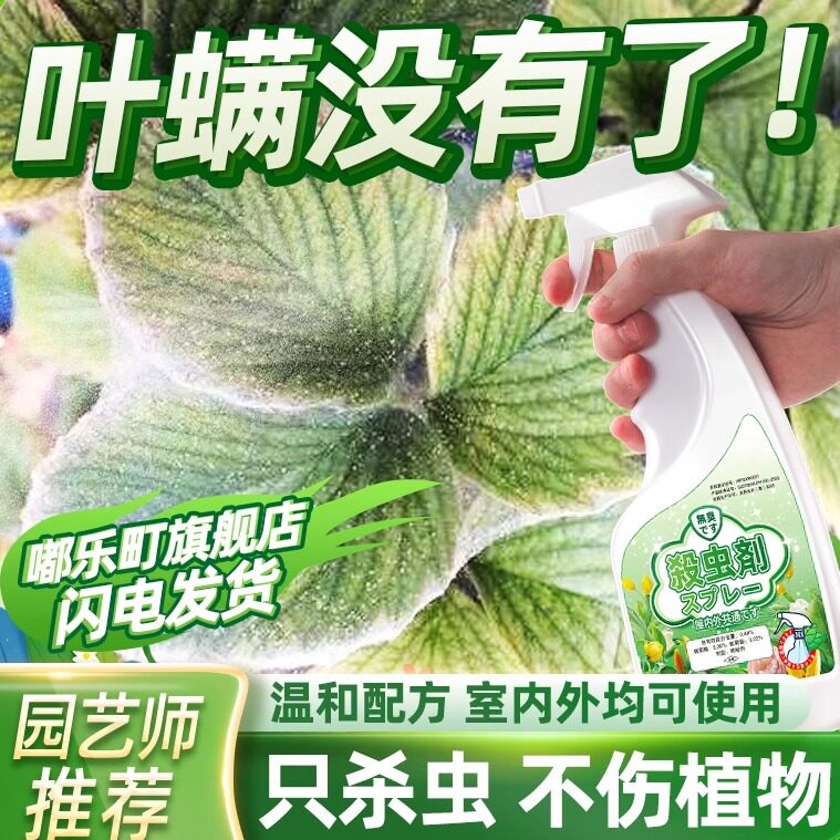 除叶螨杀虫剂杀专用药治喷雾打红知蛛灭小蜘蛛果树绿植蚜虫和月季