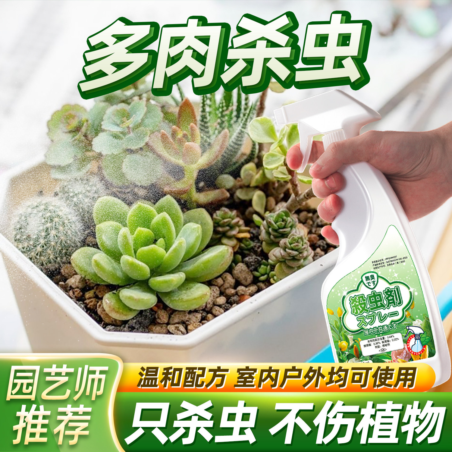 多肉杀虫剂专用药家用除虫驱虫蚧壳虫防虫植物虫子去肉白虫非杀菌