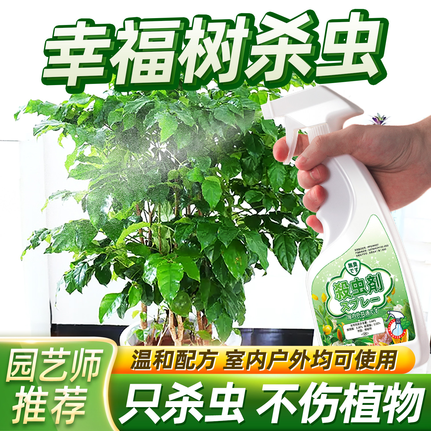 富贵树生虫幸福小虫子菜豆长虫杀虫剂病虫害红蜘蛛专用药辛福黑虫
