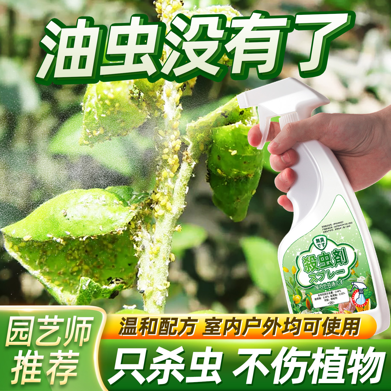 杀治油虫杀虫剂除油去油打燕专用虫药驱油汗药防油蜜虫腻虫去蚜虫