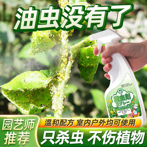 杀治油虫蚜虫打燕虫腻虫杀虫剂