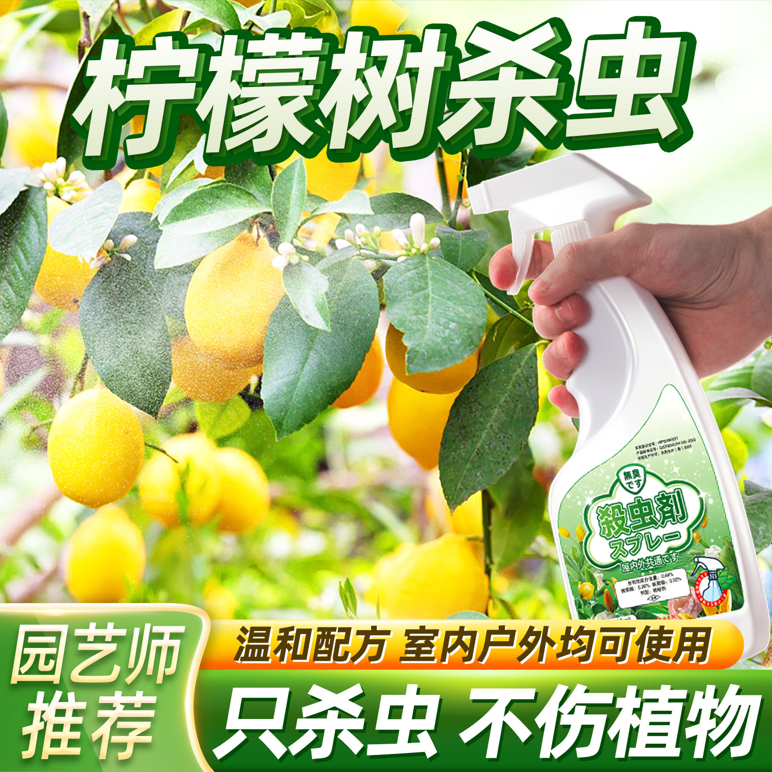 柠檬树杀虫剂果树青虫蚧壳虫白虫红蜘蛛打虫药香水柠檬生虫子病虫
