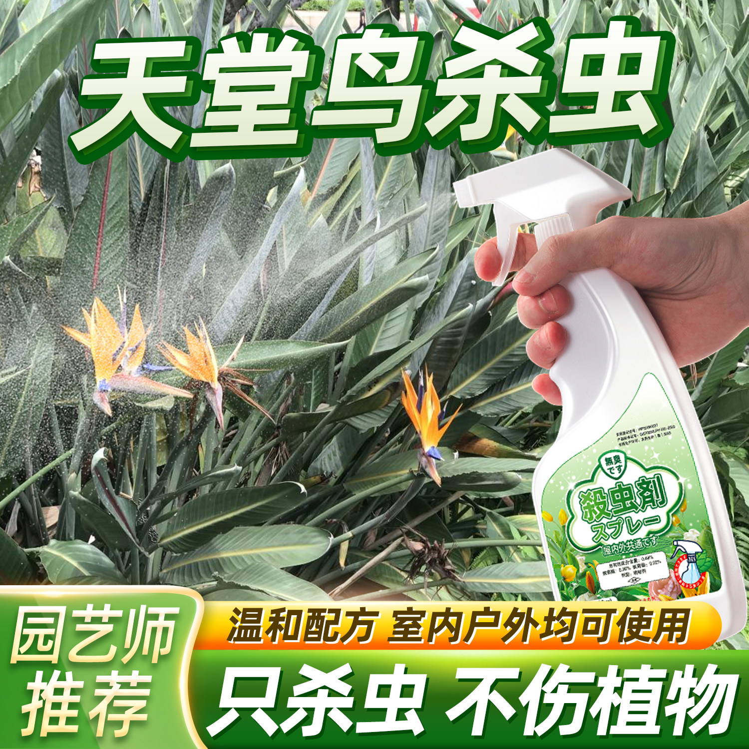 鹤望兰杀虫剂天堂鸟有白虫灭虫子蚧壳虫专用打虫药防虫去虫小飞虫