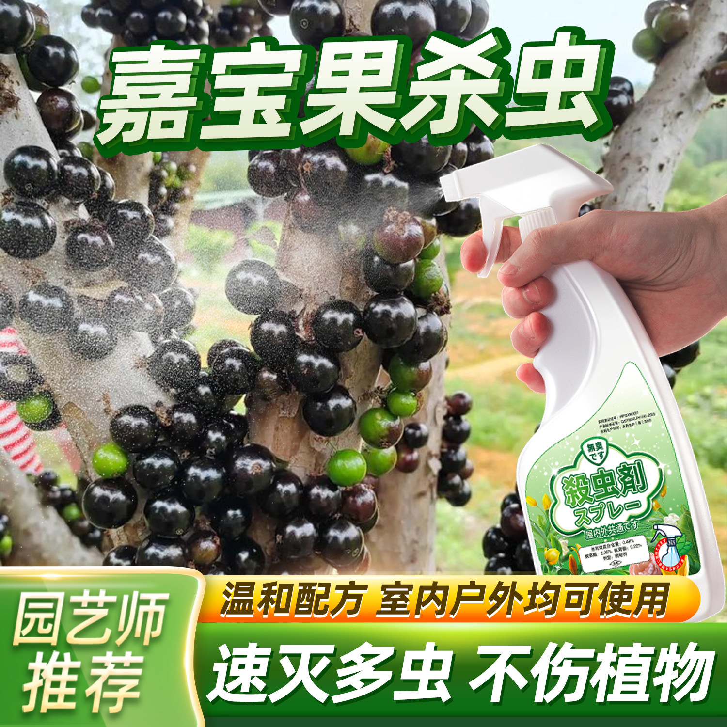 嘉宝果除虫药加宝杀虫剂牙虫专用虫果虫打虫药果树长虫非杀菌农药