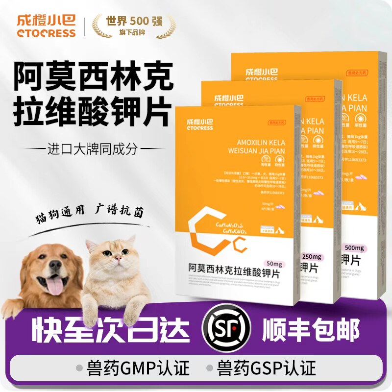 阿莫西林克拉维酸钾宠物猫咪狗狗消炎片感冒药速打喷嚏诺流鼻涕支