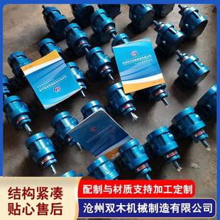 供应2CY高压齿轮泵大流量铸铁车载便携高压泵304便携式 齿轮油泵