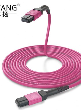 博扬 24芯MPO-lMPO光纤跳线母头B极性兼容MTP 1米OM4万兆多模跳纤
