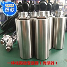 化振动变送器 震动探头DK360A-tT-S02-01-05-01-00 S04 S05适用于