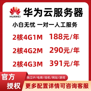 华为云服务器租用轻量云主机网站手机远程连接天翼云电脑独立ip