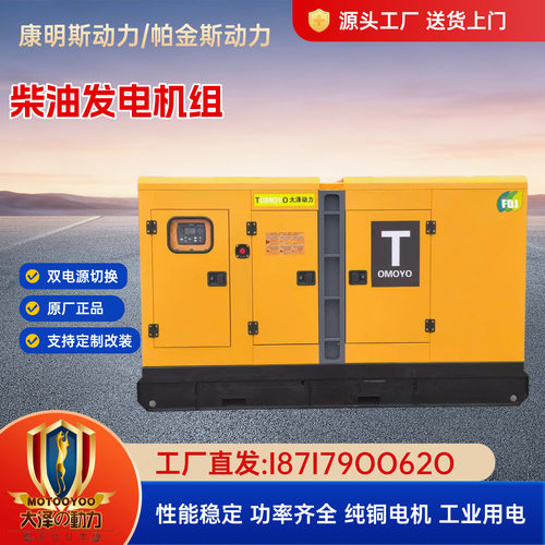 100KW柴油发电机组TO120000ETZ 大泽动力 400V50/60HZ 防尘防雨