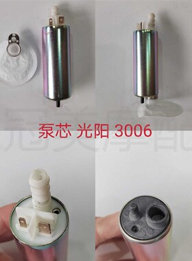 适用光阳CK/CT12k5-150-180-200-250-300-400汽油泵芯 马达 电机