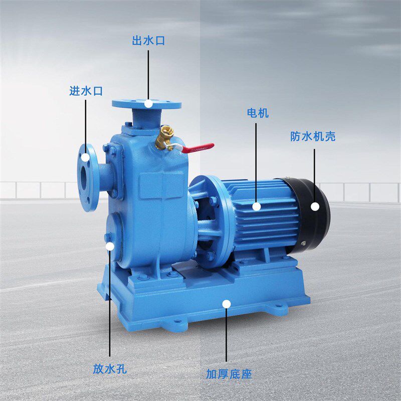 ZW卧式污水泵大流n量直联离心泵工业三相大功率无堵塞自吸泵排污