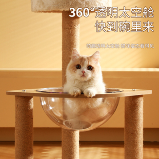 太空舱猫爬架猫窝一体猫咪磨爪爬高剑麻猫架柱子S幼猫玩耍玩具用