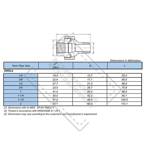 904L高压内W外丝活接头