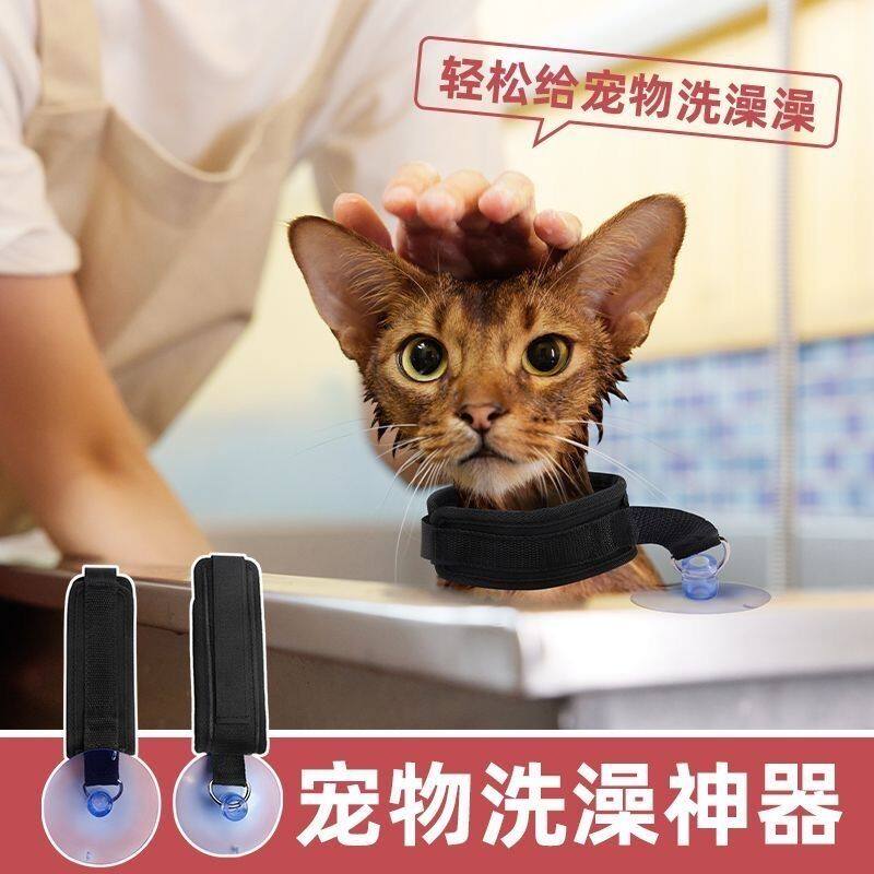猫狗美容台清洁专用吸盘绑带绳子宠物洗澡神器防抓动固定器