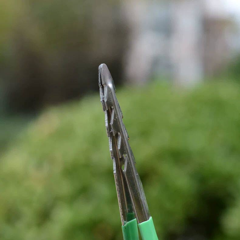 种菜家用园艺工具不锈钢镊子连根花盆除草夹种子拔草神器