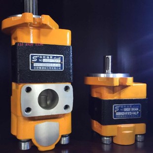 F4.5 L双联泵13齿花键轴液压 G36 合肥赛源液压齿轮泵CkBHY